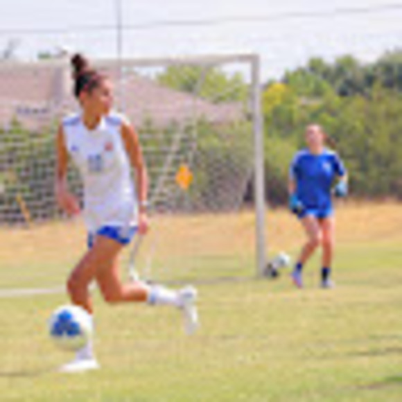 Meet your Posher, Sofia - Picture 1 of 1